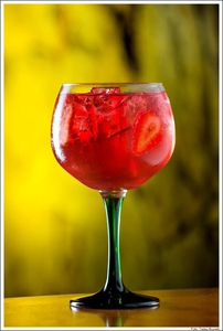 Gin Frutas Vermelhas sem alcool